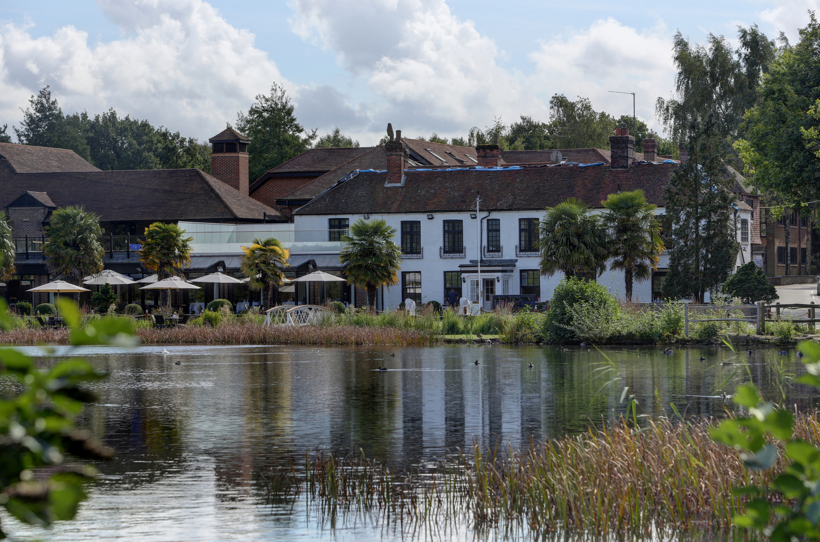 Best Western Hotel Surrey Best Western Hotel Surrey