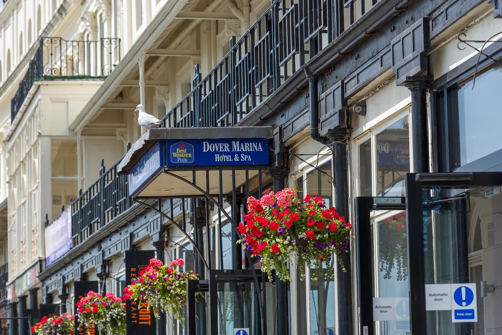 Best Western Dover Marina Hotel Best Western Dover Marina Hotel