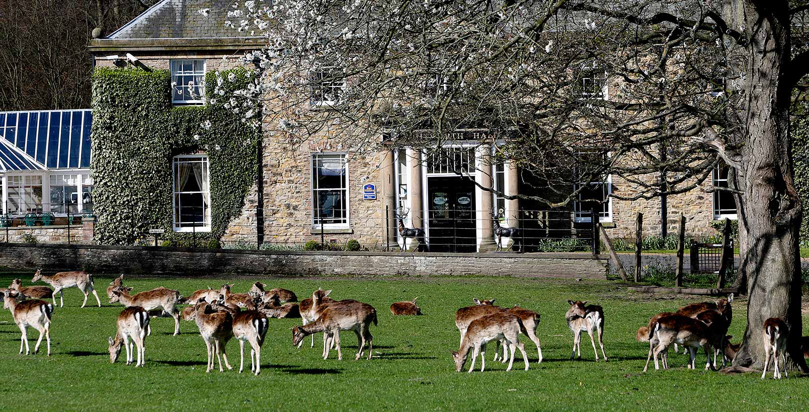 Whitworth Hall Hotel Whitworth Hall Hotel