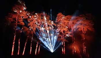Tread an enchanted Christmas trail Tread an enchanted Christmas trail